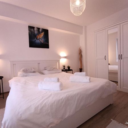 Cozy Apartment City Center Boekarest Buitenkant foto