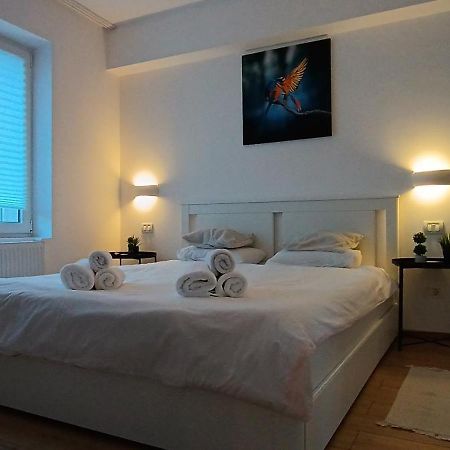 Cozy Apartment City Center Boekarest Buitenkant foto